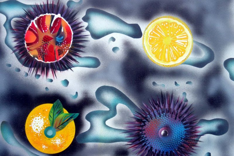 Peinture surréaliste d'oursins ouverts et tranches de citron sur fond gris bleuté