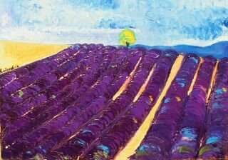 Champ de lavande violet intense sous ciel bleu avec arbre solitaire à l'horizon