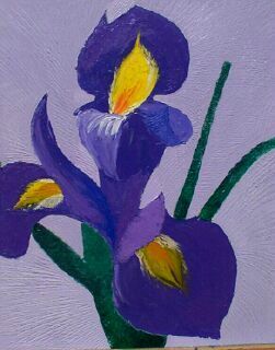 Fleurs iris violets et jaunes fond lilas épuré style expressionniste floral
