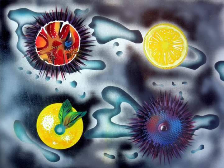 Composition de deux oursins ouverts et d'un citron sur fond bleu-gris marin